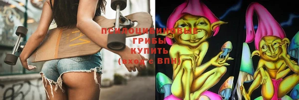 гашик Бородино