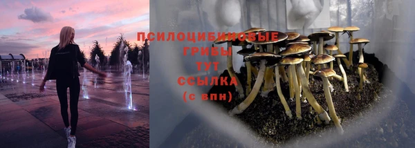 гашик Бородино