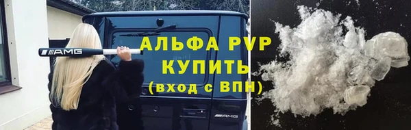 гашик Бородино