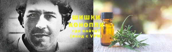 гашик Бородино
