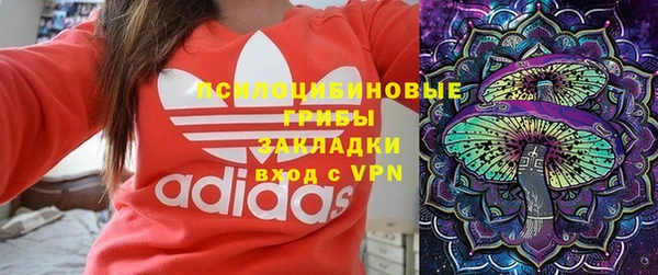 гашик Бородино