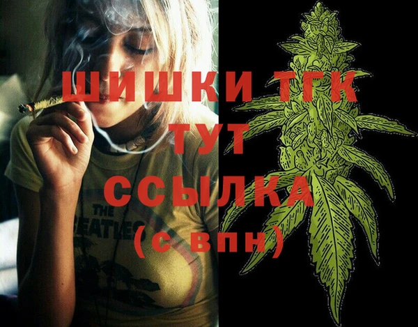 гашик Бородино