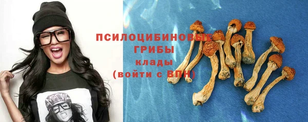 гашик Бородино