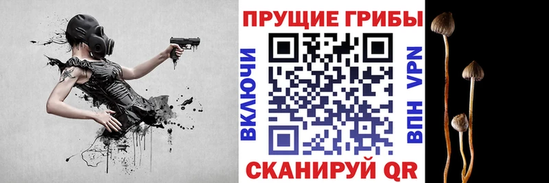 как найти наркотики  Верхний Тагил  Псилоцибиновые грибы прущие грибы 